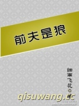 前夫是狼小说