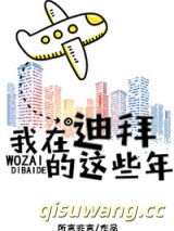 我在迪拜的这些年小说