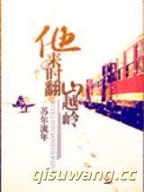 他来时翻山越岭小说