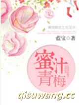 蜜汁青梅小说