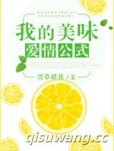 我的美味爱情公式小说