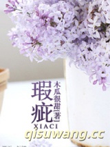 瑕疵小说