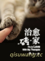 治愈砖家小说