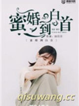蜜婚到白首小说