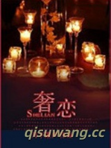 奢恋小说