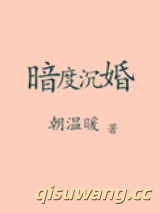 暗度沉婚小说