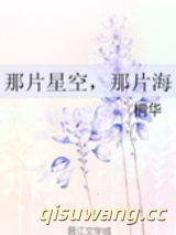 那片星空，那片海（网络版）小说