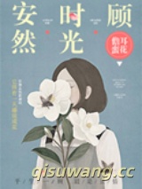 安然时光顾小说