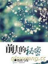 前夫的秘密小说