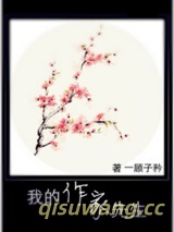 我的作家先生小说