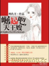 崛起吧，天王嫂！小说
