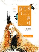 我们不止爱于微时小说