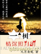 一树情深照月明小说