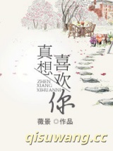 真想喜欢你小说