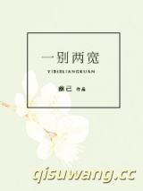 一别两宽小说