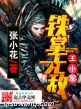 铁掌无敌王小军小说