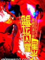 篮坛闪耀星光小说