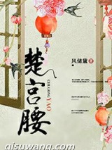 楚宫腰小说