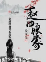 赵四娘家小说