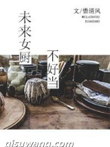 未来女厨不好当小说