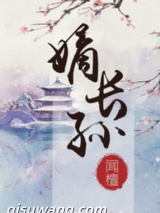 嫡长孙小说