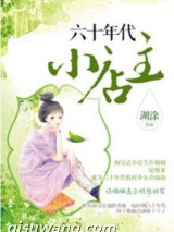 六十年代小店主小说