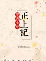 穿书女配正上记小说