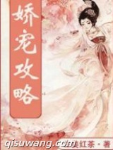 娇宠攻略小说
