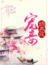 宠妾娇养成小说