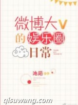 微博大V的娱乐圈日常小说