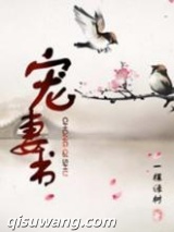宠妻书小说