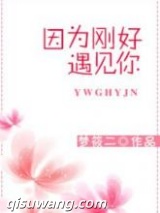 因为刚好遇见你小说