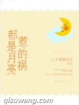 都是月亮惹的祸小说