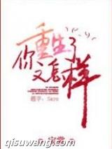 你重生了又怎样小说