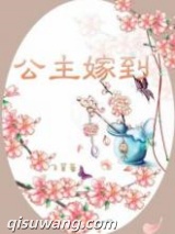 公主嫁到小说