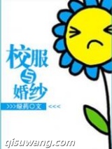 校服与婚纱小说