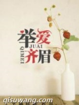 举爱齐眉小说