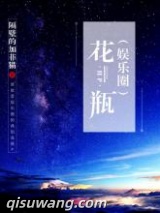 花瓶（娱乐圈）小说