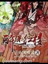 醉迷红楼小说