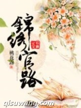 锦绣官路小说