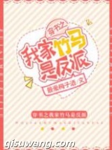 穿书之我家竹马是反派小说