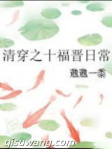 清穿之十福晋日常小说