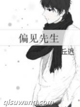 偏见先生小说