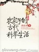 农家子的古代科举生活小说