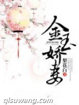 金玉娇妻小说