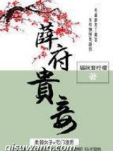 薛府贵妾小说