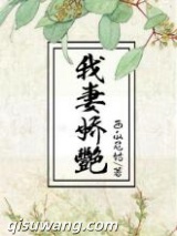 我妻娇艳小说