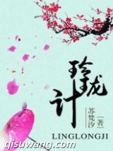 玲珑计小说