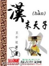 汉末天子小说