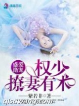 盛爱绝宠：权少撩妻有术小说